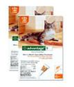 Advantage Ii For Cats 1- 9 Lbs, Orange 12 Pack