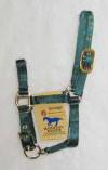 3/4" Adjustable Miniature Halter - Hunter Green - Average (3dam Avdg)