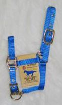 3/4" Adjustable Miniature Halter - Blue - Average (3dam Avbl)