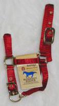 3/4" Adjustable Miniature Halter - Red - Average (3dam Avrd)