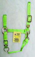 11-16 Adjustable Chin Halter W/ Snap - Lime Large 1" (1das Lgli)