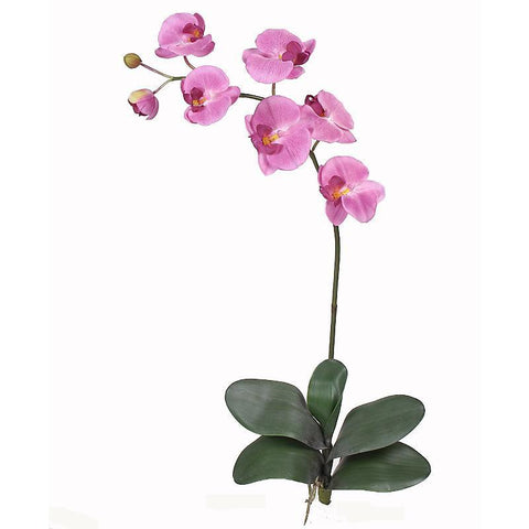 Phalaenopsis Silk Orchid Flower w/Leaves 6 Stems