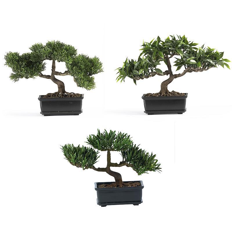 12 Bonsai Silk Plant Collection Set of 3