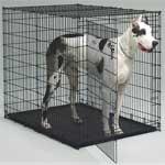 1154U Big Dog Dog Crate Big Dog Crate 54In L X 35In W X 45In H