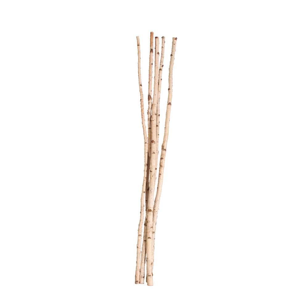 1 1 12 Birch Poles X5 by Vickerman