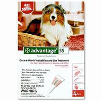 Advantage For Dogs 21-55 Lbs, Red 4 Pack