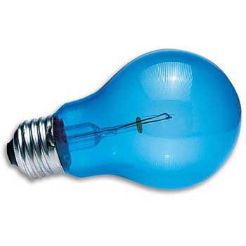 100 Watt Daylight Blue Inc Reptile Bulb DB 100