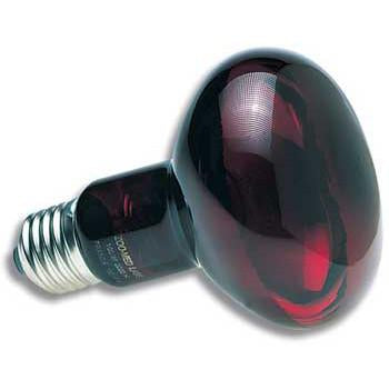 150 Watt Infrared Inc Nocturnal Bulb RS 150