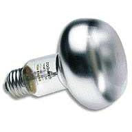 150 Watt Repti - Bask Inc Day Bulb (sl-150)
