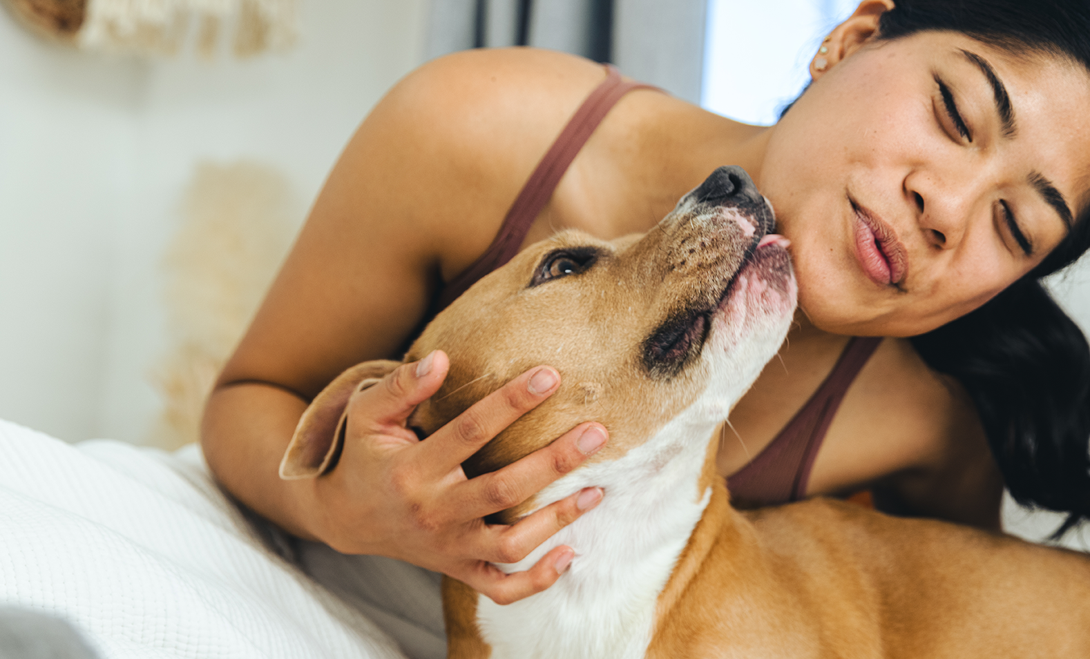 Woman and dog Hugging. Dog licking her chin.