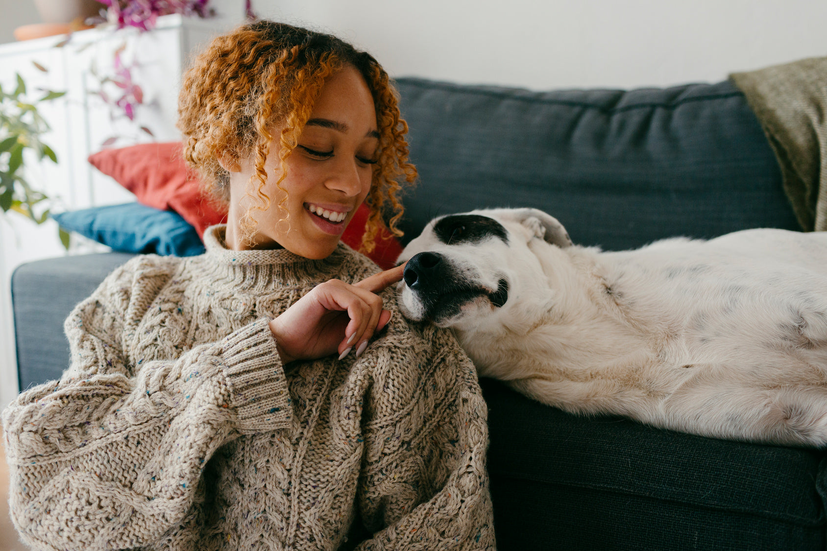 Girl touching the nose of her dog. In the living room on the couch.