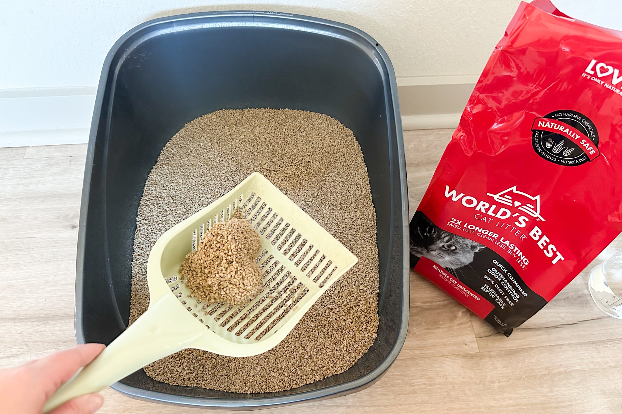 World's Best Cat Litter