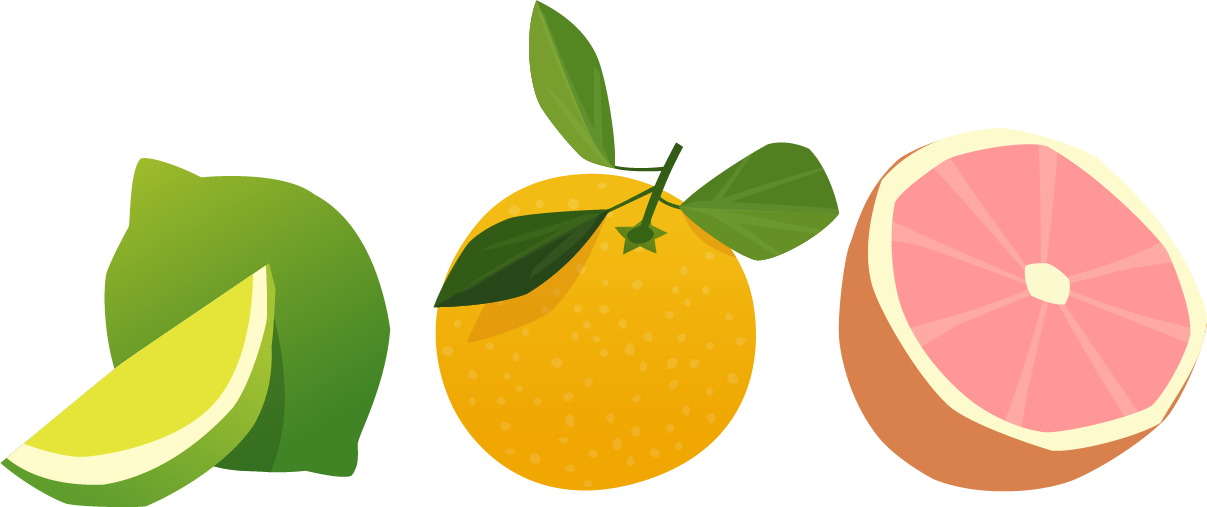 Citrus Icon