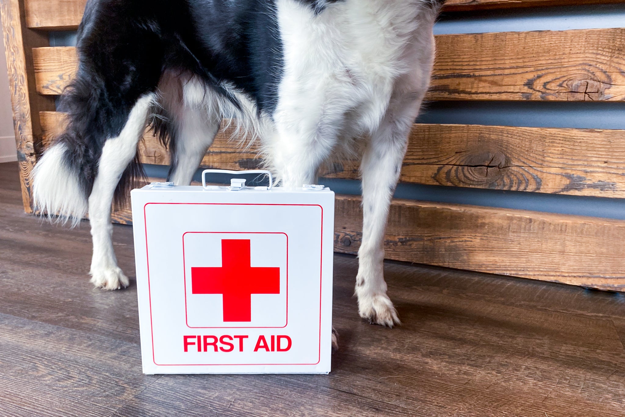 Dog First Aid Kit