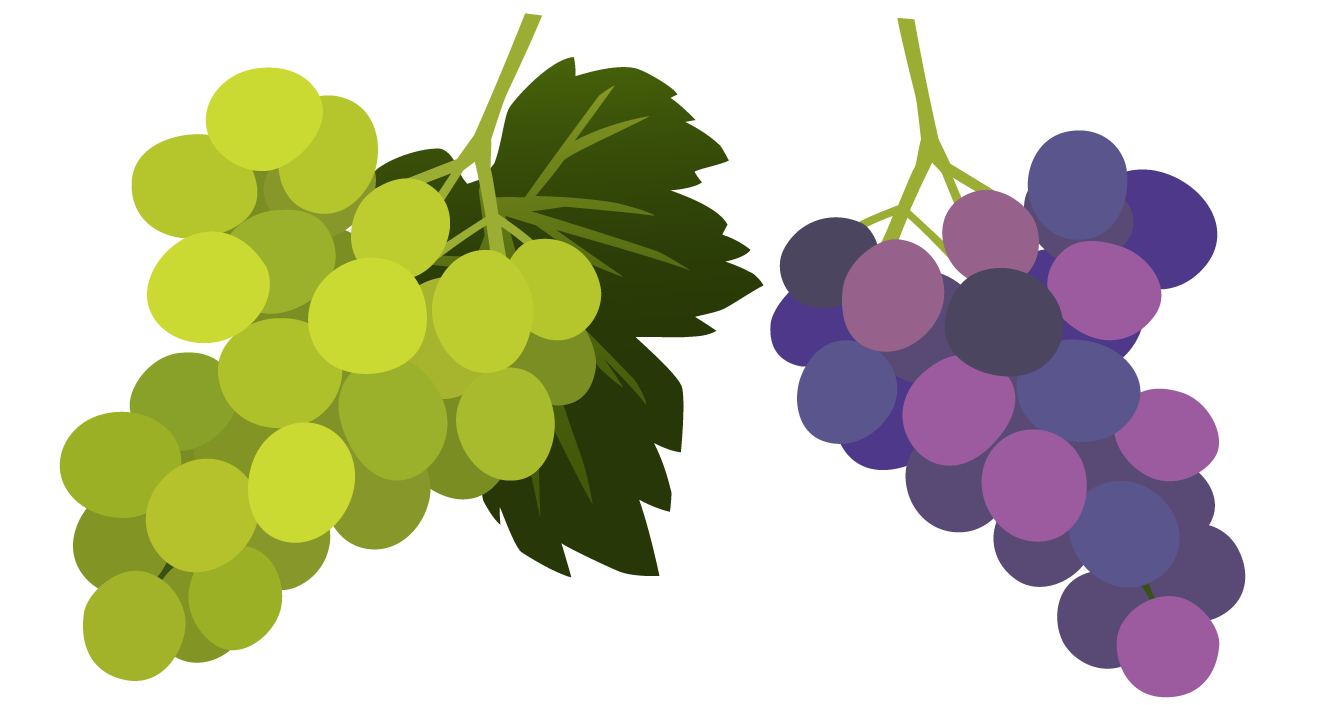 Grape Icon