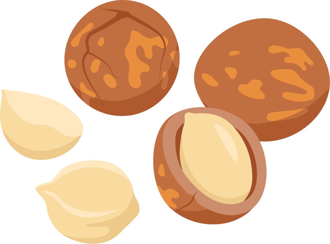 Macadamia Nuts