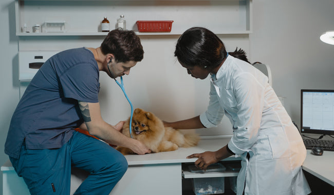 Veterinary Information