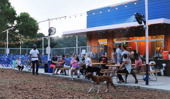 Yard Bar combination dog park at Austin, TX 78757