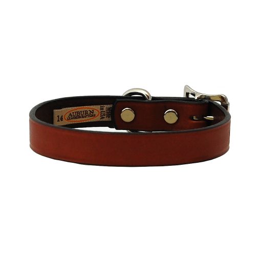 auburn leather collars