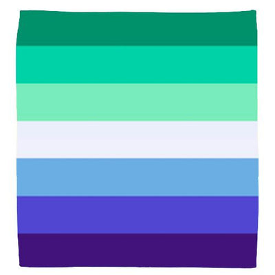 original gay flag 8 color