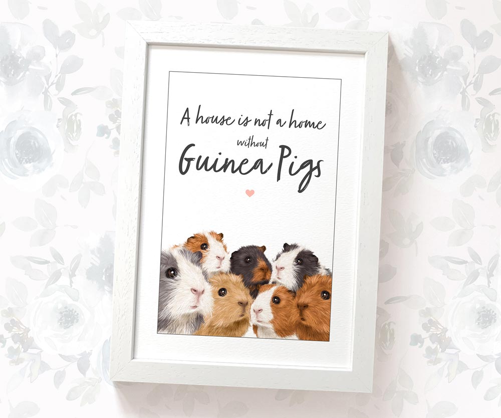 A4 framed guinea pig print with quote "A house is not a home without guinea pigs" - an adorable gift for pet owners 
