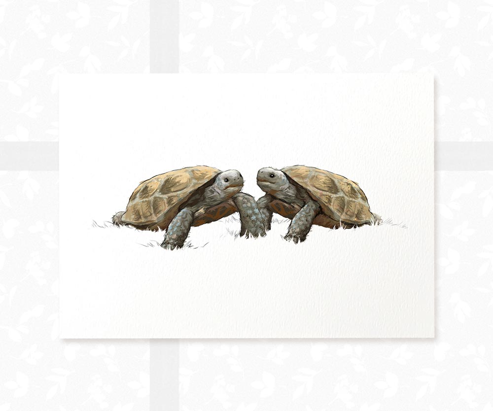 Twin Tortoise Nursery Art Print | Children's Wall Art