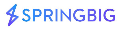 Springbig logo