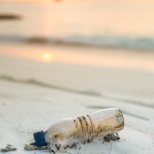 Plastic Free July: An image of a discarded plastic water bottle on the sand. The sun sets in the background. 