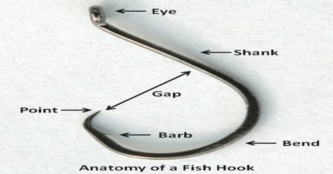 Anatomy and construction of Fishing Hook – AMYSPORTS