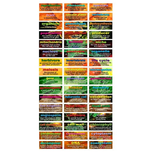 48 Life Science Testing Words Mini Bulletin Board Set Grade 5-8