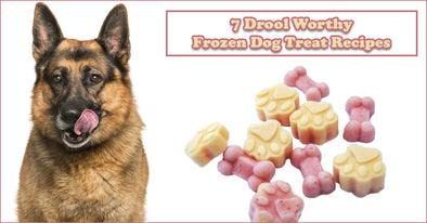 7 Drool Worthy Frozen Dog Treat Recipes For The Hottest Summer Days