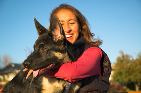 do german shepherds attach to one person