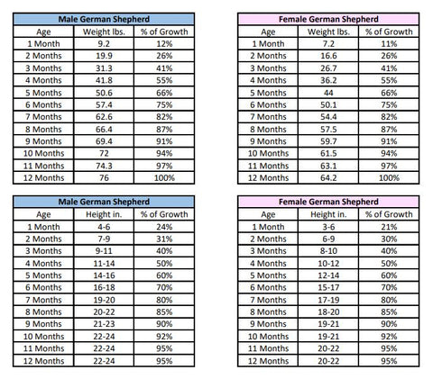 The Development Stages and Growth Chart of German Shepherds – German ...