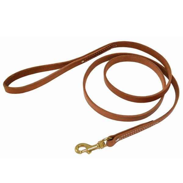 Super Grip Biothane Leashes  Hunting Dog Leads - Ray Allen