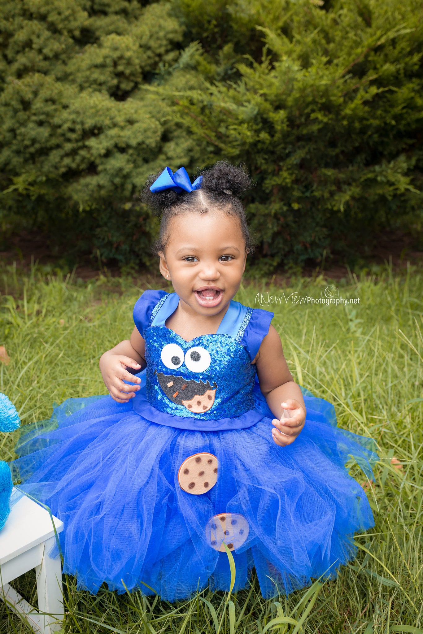 Cookie Monster birthday Dress- Cookie 
