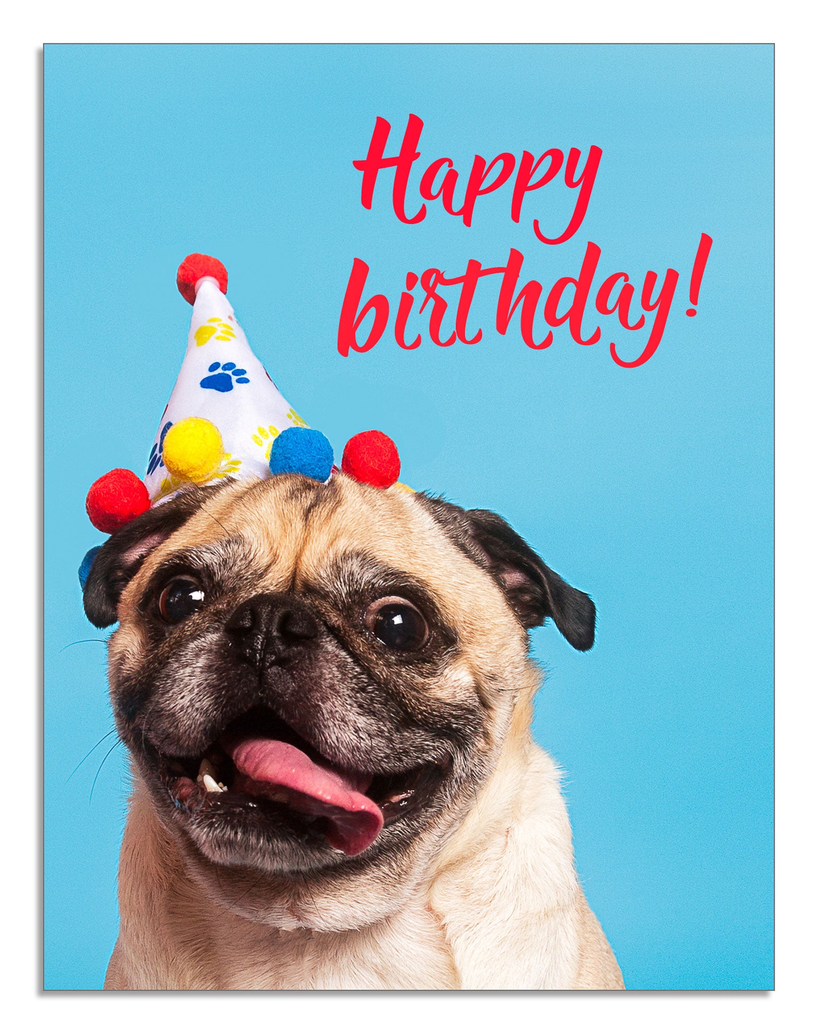 happy-birthday-pug-card-blusys-creative