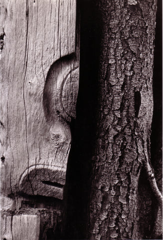 Peter Morin, revisiting the silence, totem poles, northwest coast, photography, bill reid gallery, adelaide de Menil, 1960s, 60s