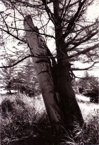 Peter Morin, revisiting the silence, totem poles, northwest coast, photography, bill reid gallery, adelaide de Menil, 1960s, 60s