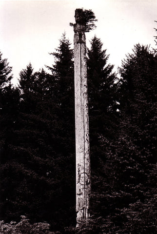 Peter Morin, revisiting the silence, totem poles, northwest coast, photography, bill reid gallery, adelaide de Menil, 1960s, 60s