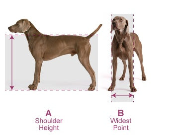 Hale Pet Door measurement guidelines