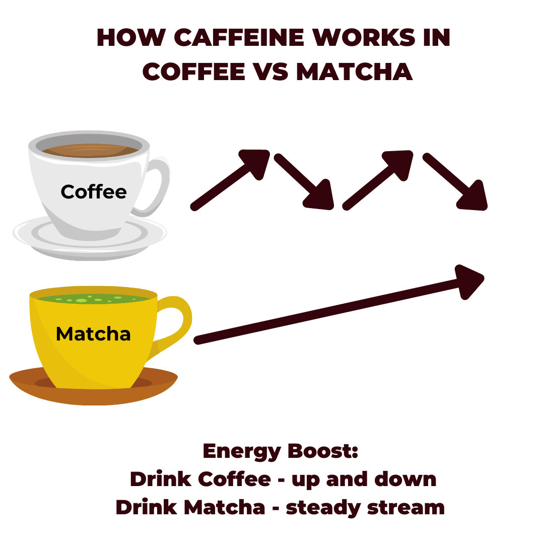 Coffee vs Matcha Caffeine Energy Levels Graphic