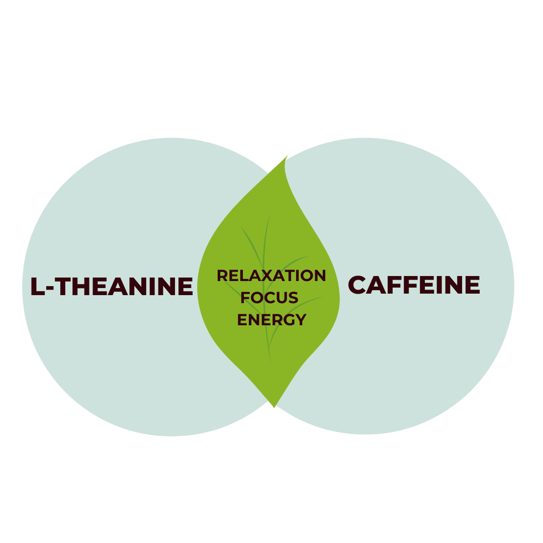 L-theanine & Caffeine Graphic