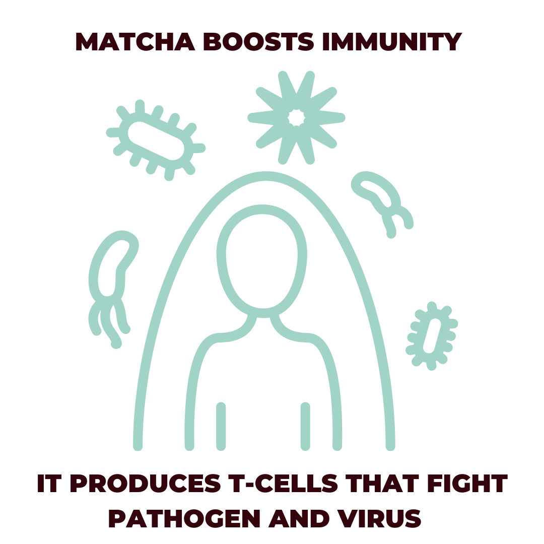 Matcha boots immunity