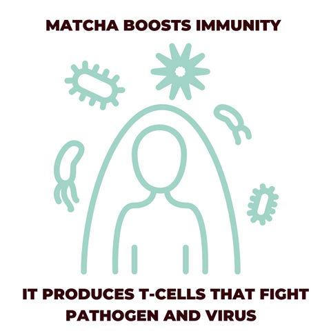 Matcha Boosts Immunity T-cells Fight Virus