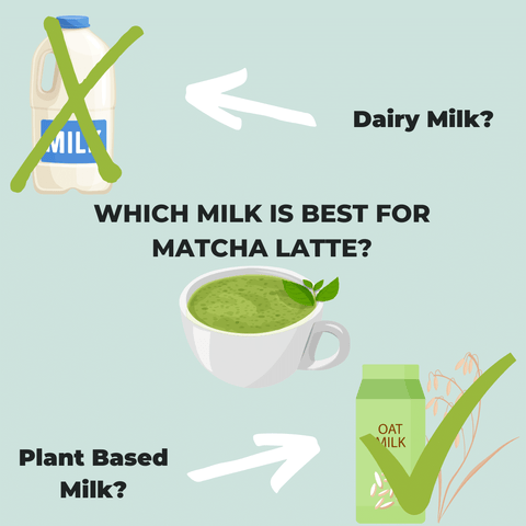 Which Milk is Best for Matcha Latte?