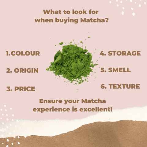 6-things-to-look-for-when-buying-matcha-tea