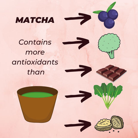 Matcha and Immunity