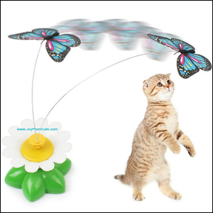 pets at home cat toys