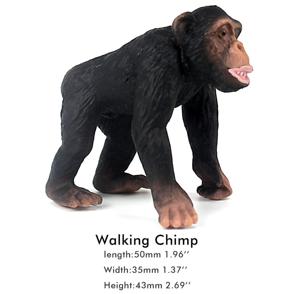 baby chimpanzee height