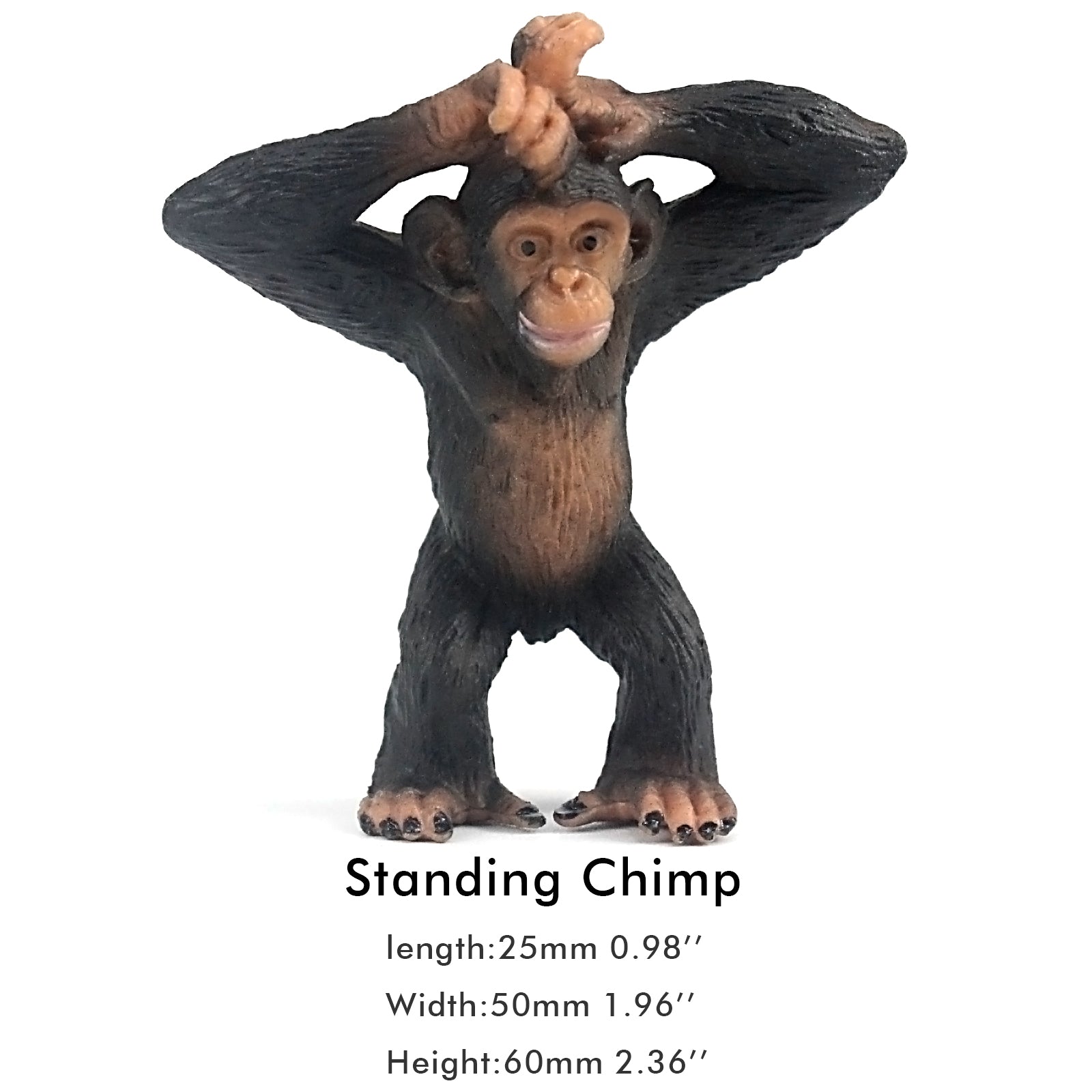 average chimpanzee height and weight